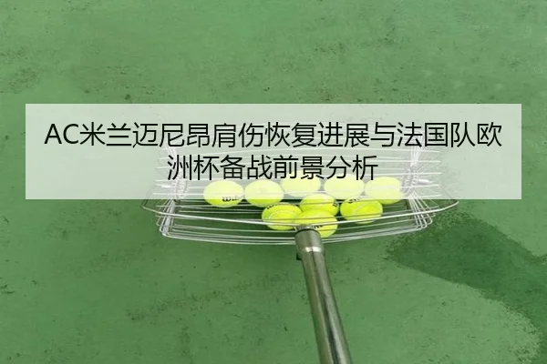 AC米兰迈尼昂肩伤恢复进展与法国队欧洲杯备战前景分析