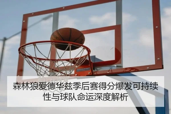 森林狼爱德华兹季后赛得分爆发可持续性与球队命运深度解析